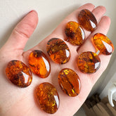 Cognac Amber Free Shape Cabochons